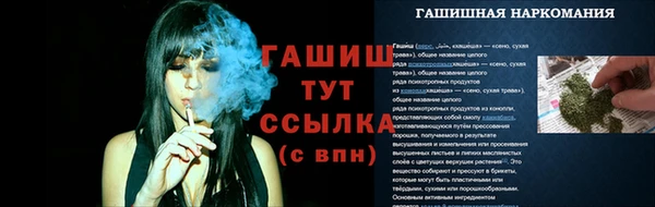 сатива Вязьма