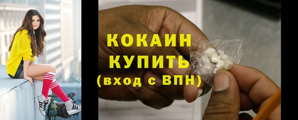 сатива Вязьма