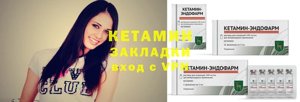 ГАЛЛЮЦИНОГЕННЫЕ ГРИБЫ Гусев