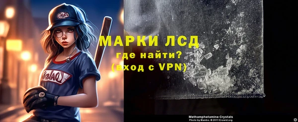 сатива Вязьма