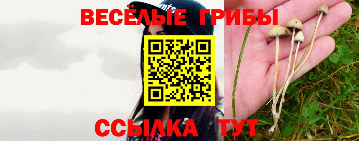 Великий Устюг  Псилоцибиновые грибы Cubensis  даркнет сайт  Вход с VPN 