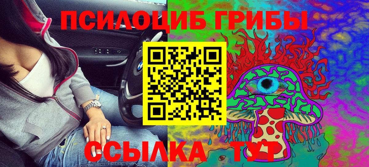 Псилоцибиновые грибы мухоморы Великий Устюг
