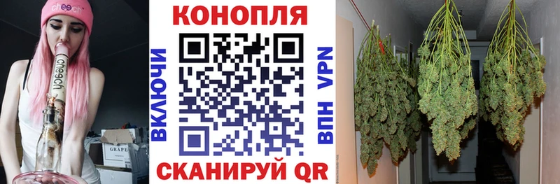 Марихуана конопля  Великий Устюг 