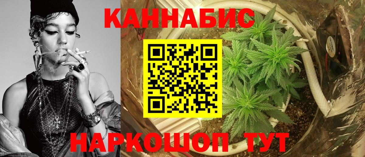 Бошки марихуана Bruce Banner Великий Устюг